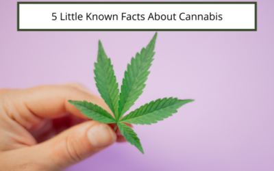 5 Little Known Facts About Cannabis