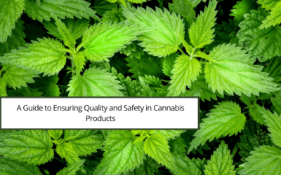 A Guide to Ensuring Quality and Safety in Cannabis Products