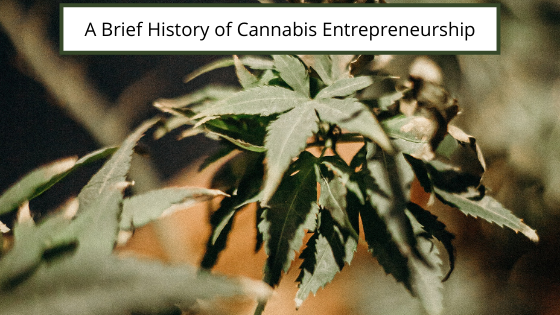 Cameron Forni A Brief History Of Cannabis Entrepreneurship