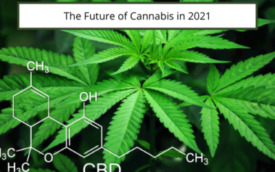 The Future of Cannabis in 2021