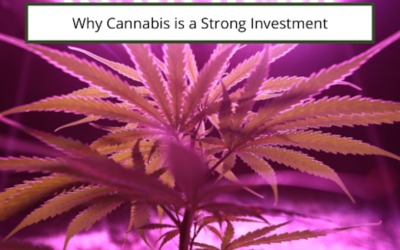Why Cannabis is a Strong Investment
