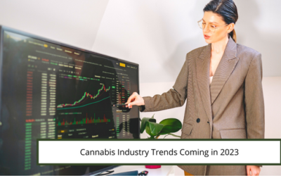Cannabis Industry Trends Coming in 2023