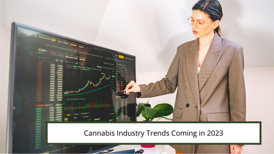Cannabis Industry Trends Coming in 2023