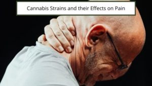 Cannabis Strains And Their Effects On Pain