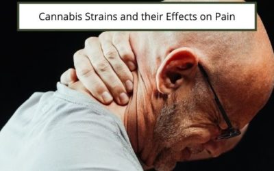 Cannabis Strains and their Effects on Pain