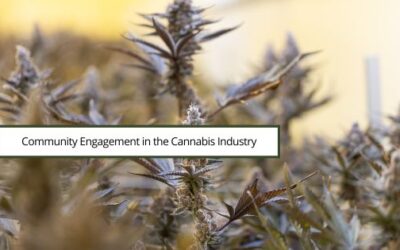 Community Engagement in the Cannabis Industry