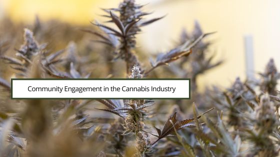 Community Engagement in the Cannabis Industry