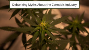 Debunking Myths About The Cannabis Industry