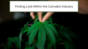 Finding A Job Within The Cannabis Industry