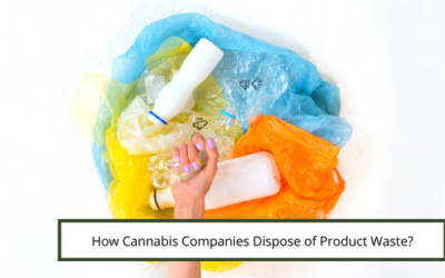 How Cannabis Companies Dispose of Product Waste?