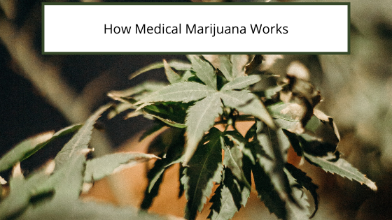 How Medical Marijuana Works