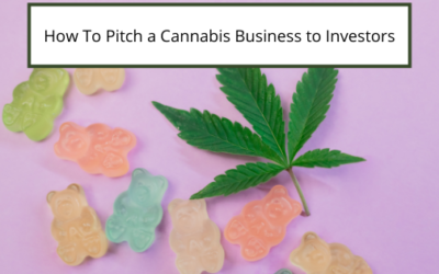 How To Pitch a Cannabis Business to Investors