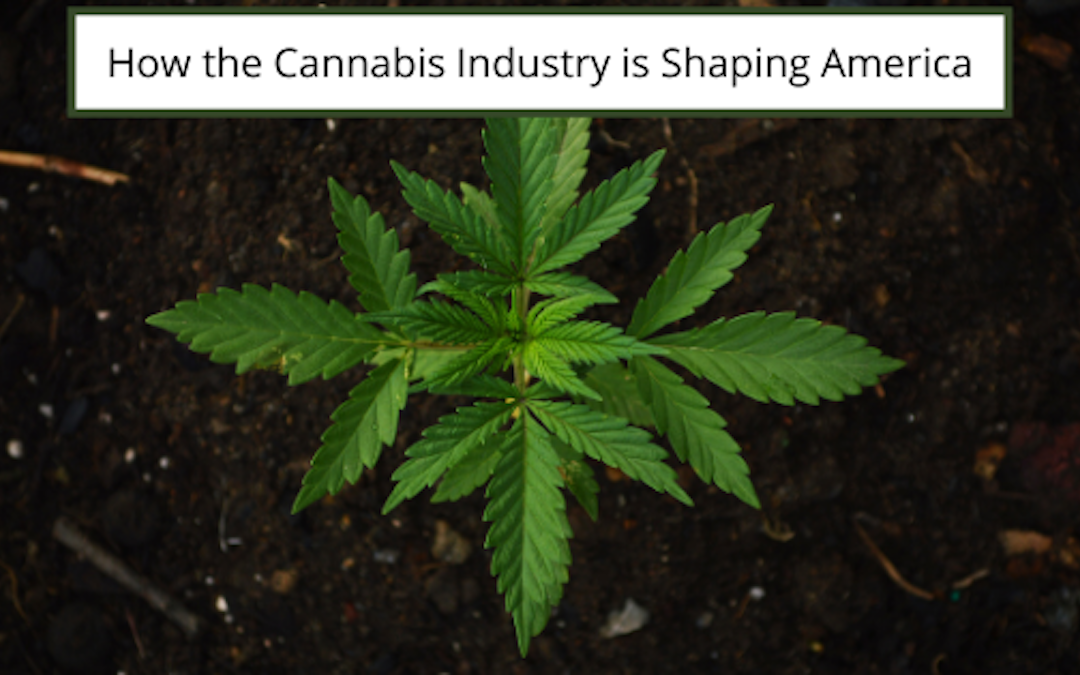 How The Cannabis Industry Is Shaping America