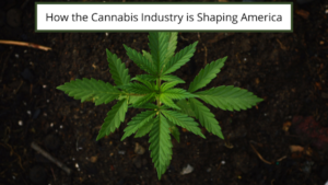 How The Cannabis Industry Is Shaping America