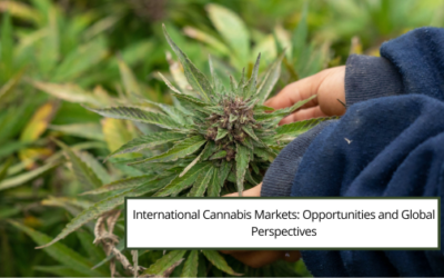 International Cannabis Markets: Opportunities and Global Perspectives