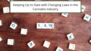 Keeping Up To Date With Changing Laws In The Cannabis Industry