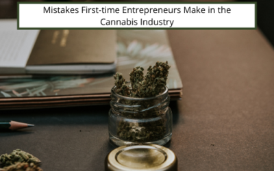 Mistakes First-time Entrepreneurs Make in the Cannabis Industry