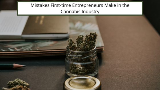 Mistakes First Time Entrepreneurs Make In The Cannabis Industry