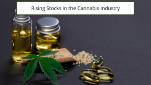 Rising Stocks In The Cannabis Industry