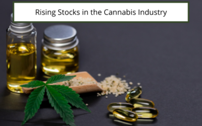 Rising Stocks in the Cannabis Industry