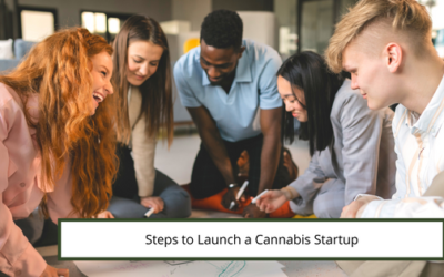 Steps to Launch a Cannabis Startup