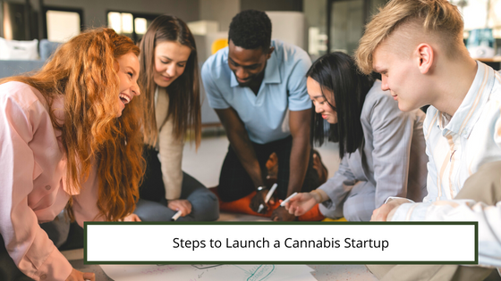 Steps to Launch a Cannabis Startup