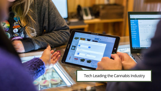 Tech Leading the Cannabis Industry