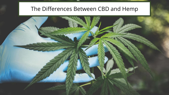 The Differences Between Cbd And Hemp