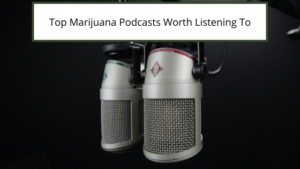 Top Marijuana Podcasts Worth Listening To