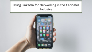 Using Linkedin For Networking In The Cannabis Industry