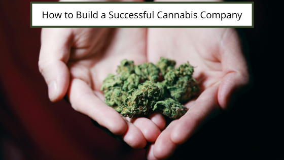 How to Build a Successful Cannabis Company